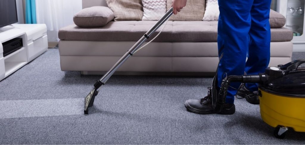 best steam cleaner for rugs