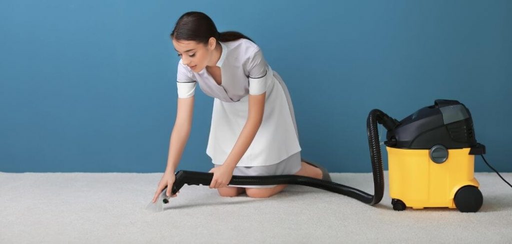 best steam cleaner for everything