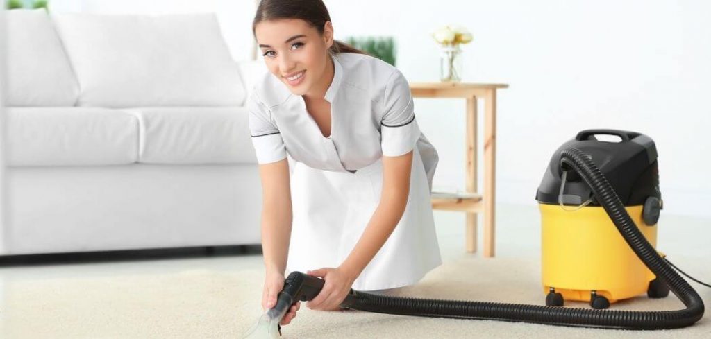 best steam cleaner for lounges