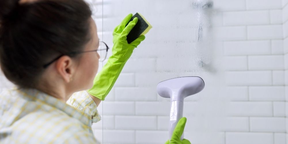 best handheld steam cleaner for showers